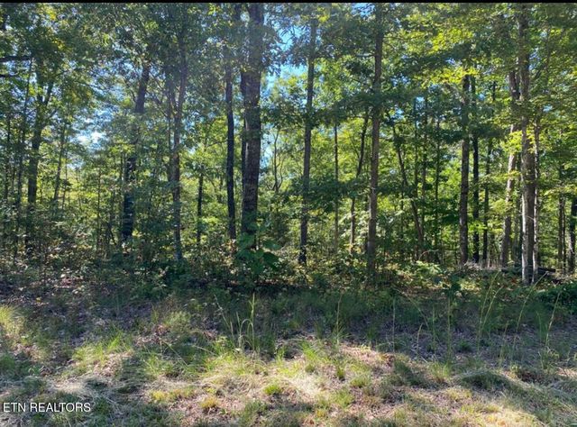 Eagle Bluff, Jamestown, TN 38556