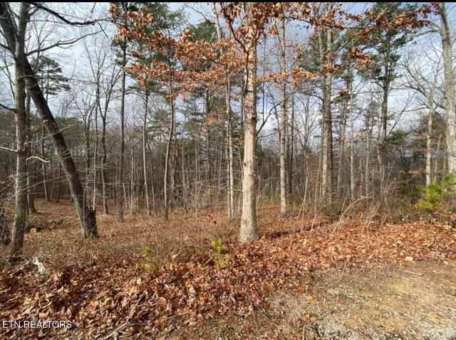 Eagle Bluff, Jamestown, TN 38556