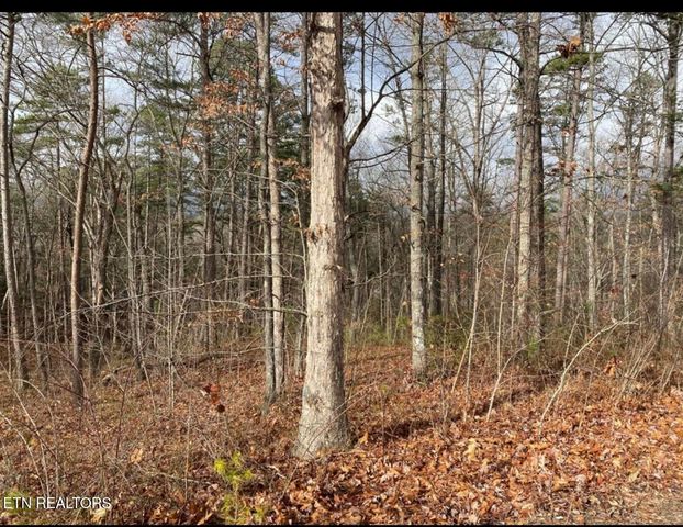 Eagle Bluff, Jamestown, TN 38556