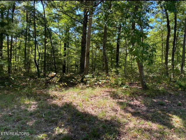 Eagle Bluff, Jamestown, TN 38556