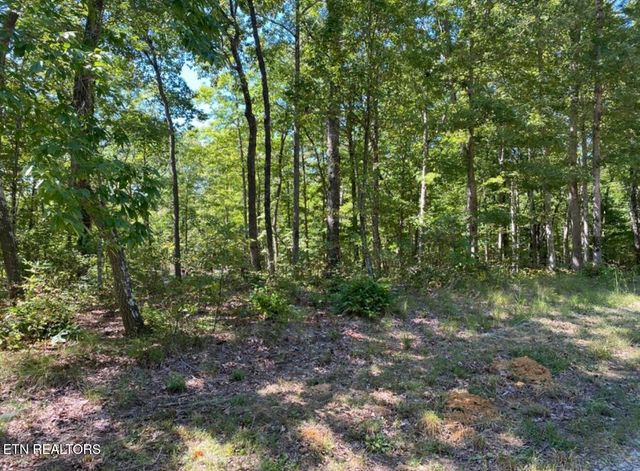 Eagle Bluff, Jamestown, TN 38556