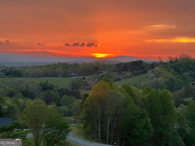 95 Upper Ridge Trail, Morganton, GA 30560