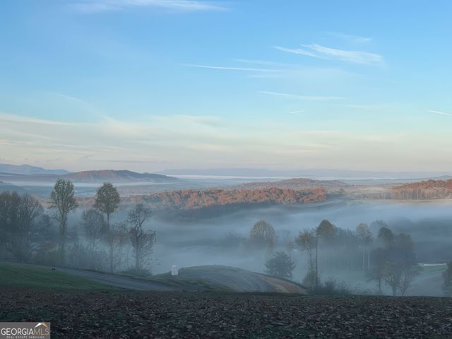 95 Upper Ridge Trail, Morganton, GA 30560