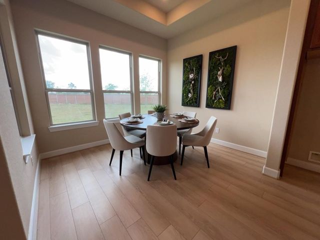 5602 Caracara Street, Manvel, TX 77578