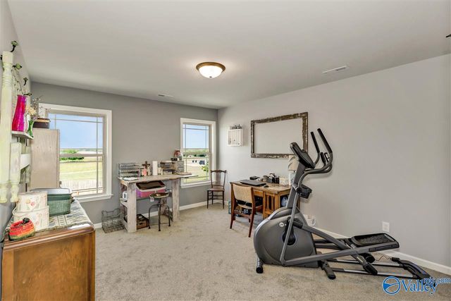 266 Maggie Mance Lane, Harvest, AL 35749