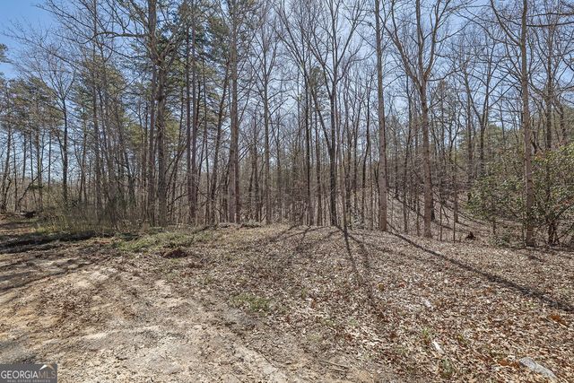 344 Herman Rice Road, Dawsonville, GA 30534