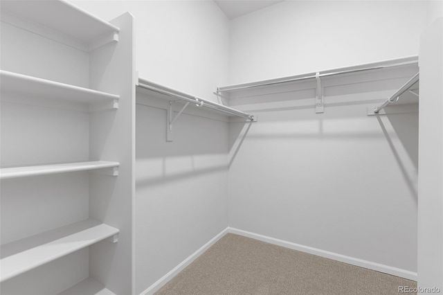 151 S Terry Street, Golden, CO 80401