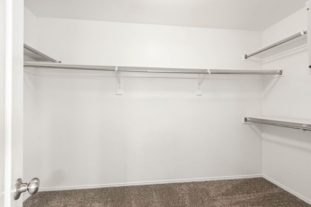 108 Clydesdale Drive, Fate, TX 75087