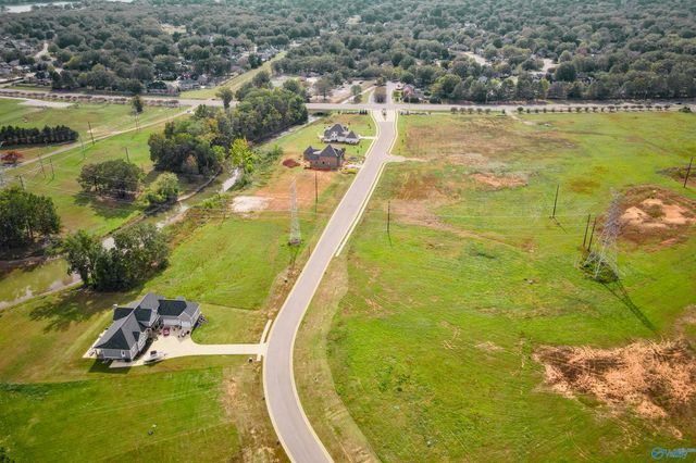 Lot 19 Legacy Cove, Decatur, AL 35601