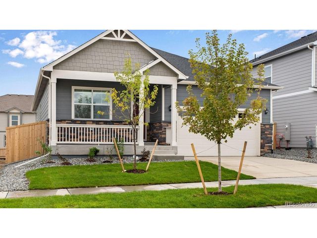 14234 Beebalm Ave, Parker, CO 80134