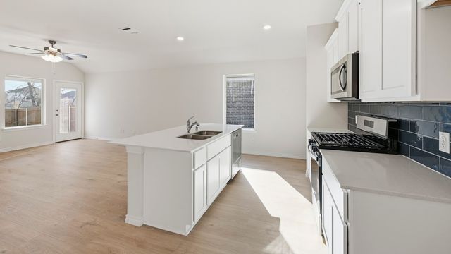 1309 Rusted Rail Drive, Princeton, TX 75407