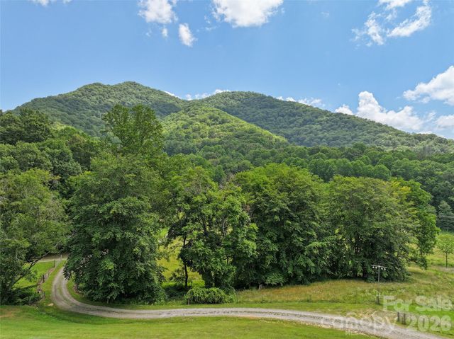 81 Aldens Way, Clyde, NC 28721