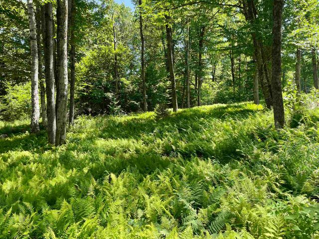 1408 Hatch School Road, Halifax, VT 05358