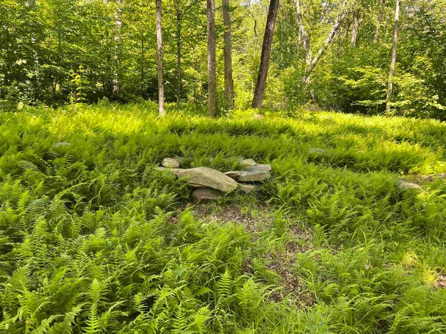 1408 Hatch School Road, Halifax, VT 05358