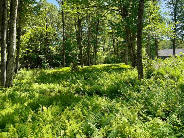 1408 Hatch School Road, Halifax, VT 05358