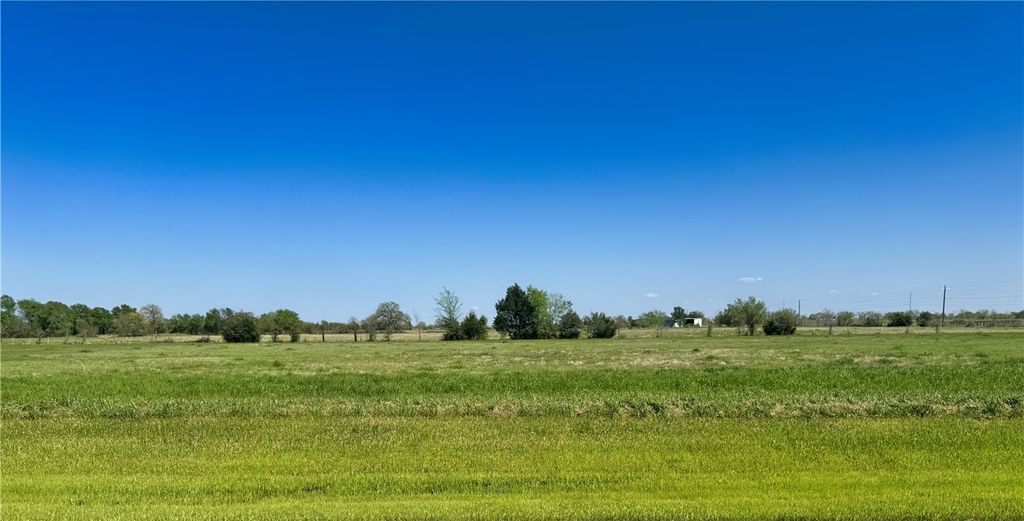 9916 Panther Creek Drive, Iola, TX 77861 — exterior