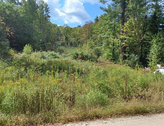 8 N Wakefield Rd Unit 8, Wolfeboro, NH 03894