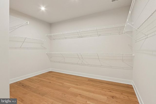 127 ALROY RD, Malvern, PA 19355