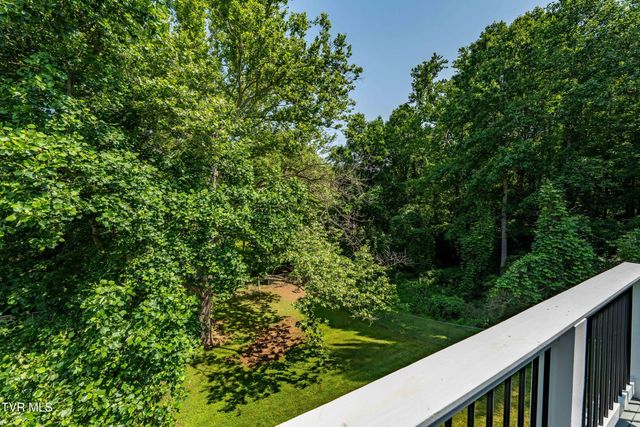 193 River Road, Bluff City, TN 37618