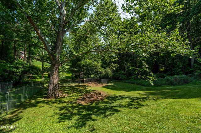 193 River Road, Bluff City, TN 37618