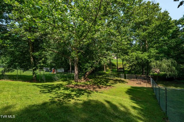 193 River Road, Bluff City, TN 37618