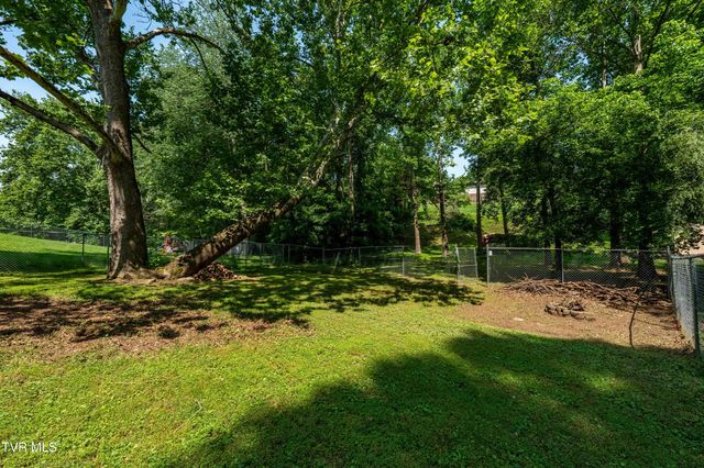 193 River Road, Bluff City, TN 37618