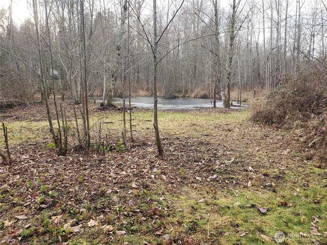 216 205th Avenue E, Lake Tapps, WA 98391