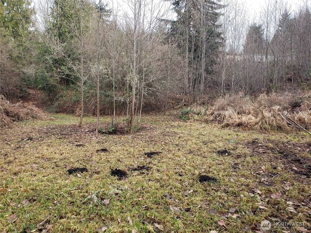 216 205th Avenue E, Lake Tapps, WA 98391