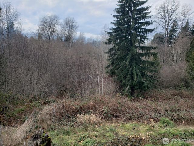 216 205th Avenue E, Lake Tapps, WA 98391