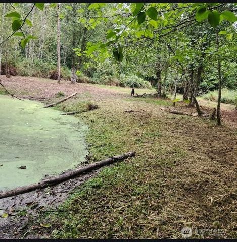 216 205th Avenue E, Lake Tapps, WA 98391