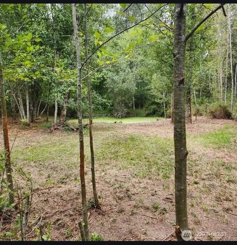 216 205th Avenue E, Lake Tapps, WA 98391