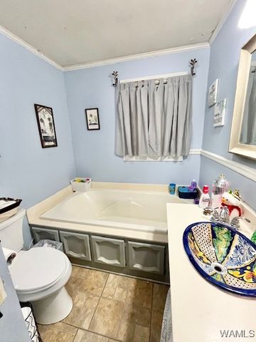 325 Town Branch, Vernon, AL 35592