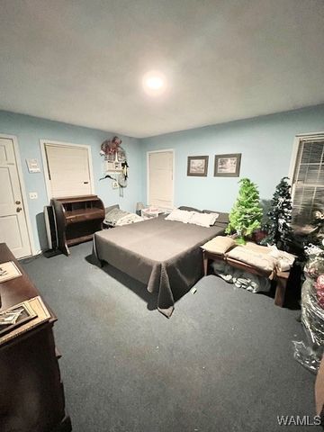 325 Town Branch, Vernon, AL 35592