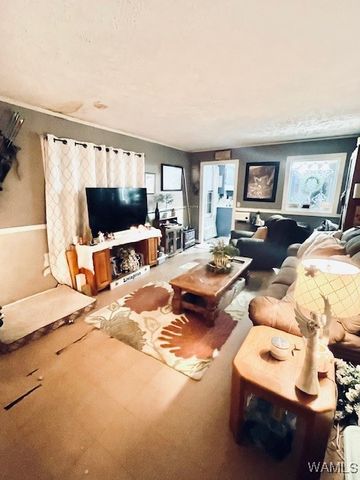 325 Town Branch, Vernon, AL 35592