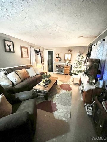 325 Town Branch, Vernon, AL 35592