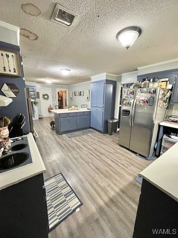 325 Town Branch, Vernon, AL 35592