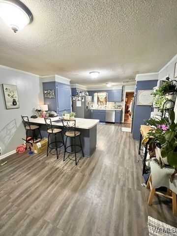 325 Town Branch, Vernon, AL 35592