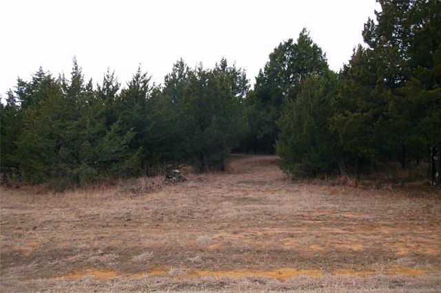 224 Barrington Circle, Gordonville, TX 76245