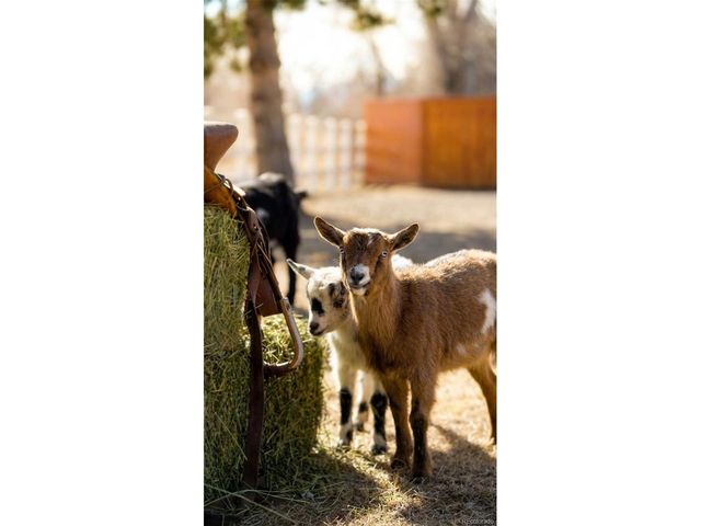 7390 Ute Hwy, Longmont, CO 80503