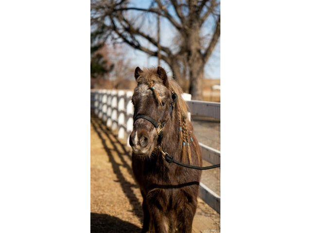 7390 Ute Hwy, Longmont, CO 80503