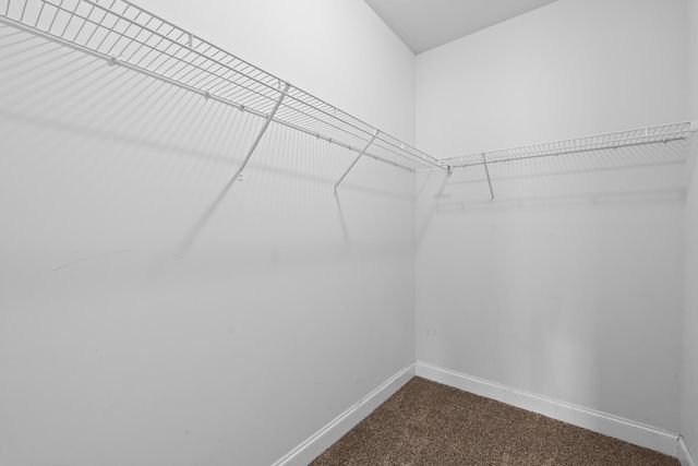 175 Lacebark Pine Way, Beech Island, SC 29842