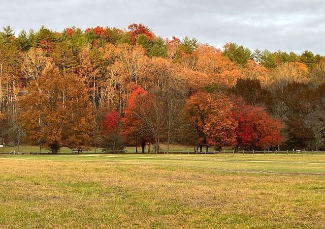 50 Flax Drive, Murphy, NC 28906