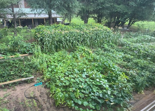 50 Flax Drive, Murphy, NC 28906