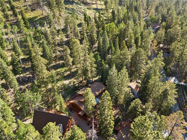 4095 Tyrol Way, Mount Charleston, NV 89124