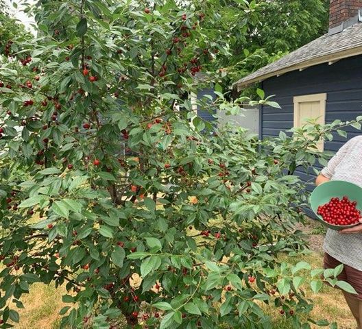 1657 Edmund Avenue, Saint Paul, MN 55104