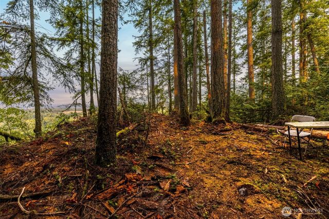 25193 Walker Valley Road, Mount Vernon, WA 98274