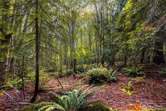 25193 Walker Valley Road, Mount Vernon, WA 98274