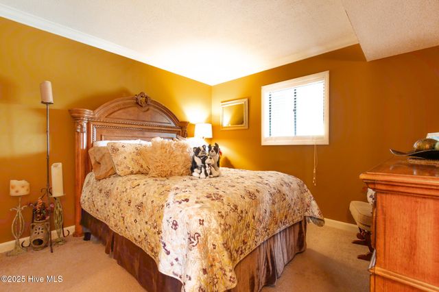 310 Lake Place Condo Drive 310, Elizabethtown, NC 28337