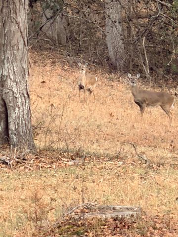 1570 Hwy 3249 B, Stanford, KY 40484