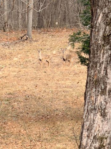 1570 Hwy 3249 B, Stanford, KY 40484